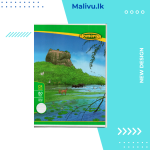 Homerun CR 80 Pages
