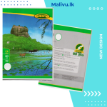Homerun CR 80 Pages